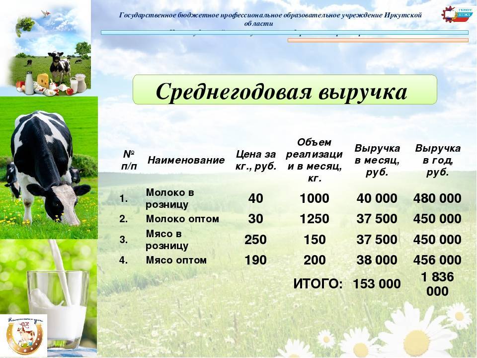 Бизнес-план по откорму и разведению бычков на мясо