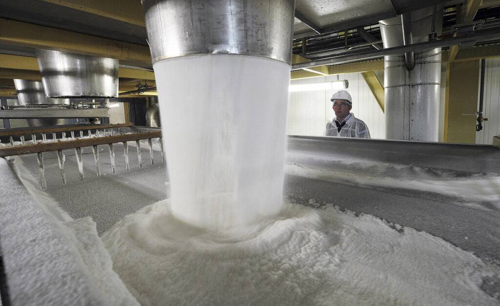 Какой самый выгодный бизнес в россии в 2022 году: идеи для восстребованного, перспективного и прибыльного дела