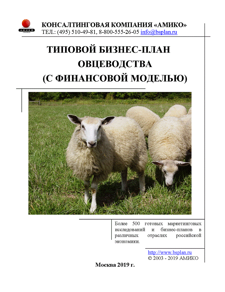 Как открыть ферму для разведения овец: бизнес-идея, как открыть, вложения, оборудование, что нужно для открытия + реальные кейсы