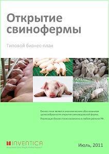 Свиноферма как бизнес в 2022: с чего начать и сколько можно заработать