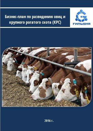 Как организовать бизнес на коровах? идеи, план