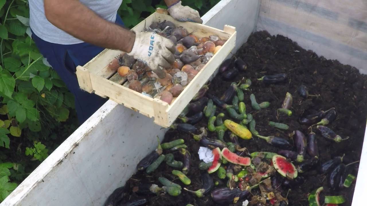 Всесторонний обзор бизнеса по разведению червей