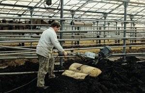 Разведение червей в домашних условиях: инструкция для начинающих