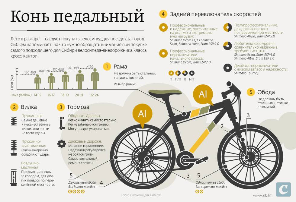 Какой бизнес сейчас актуален для начинающих предпринимателей – более 50 вариантов, чем можно заняться в 2022 году